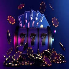 bigwin bet