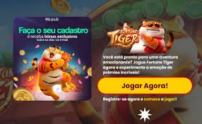 bigwin bet
